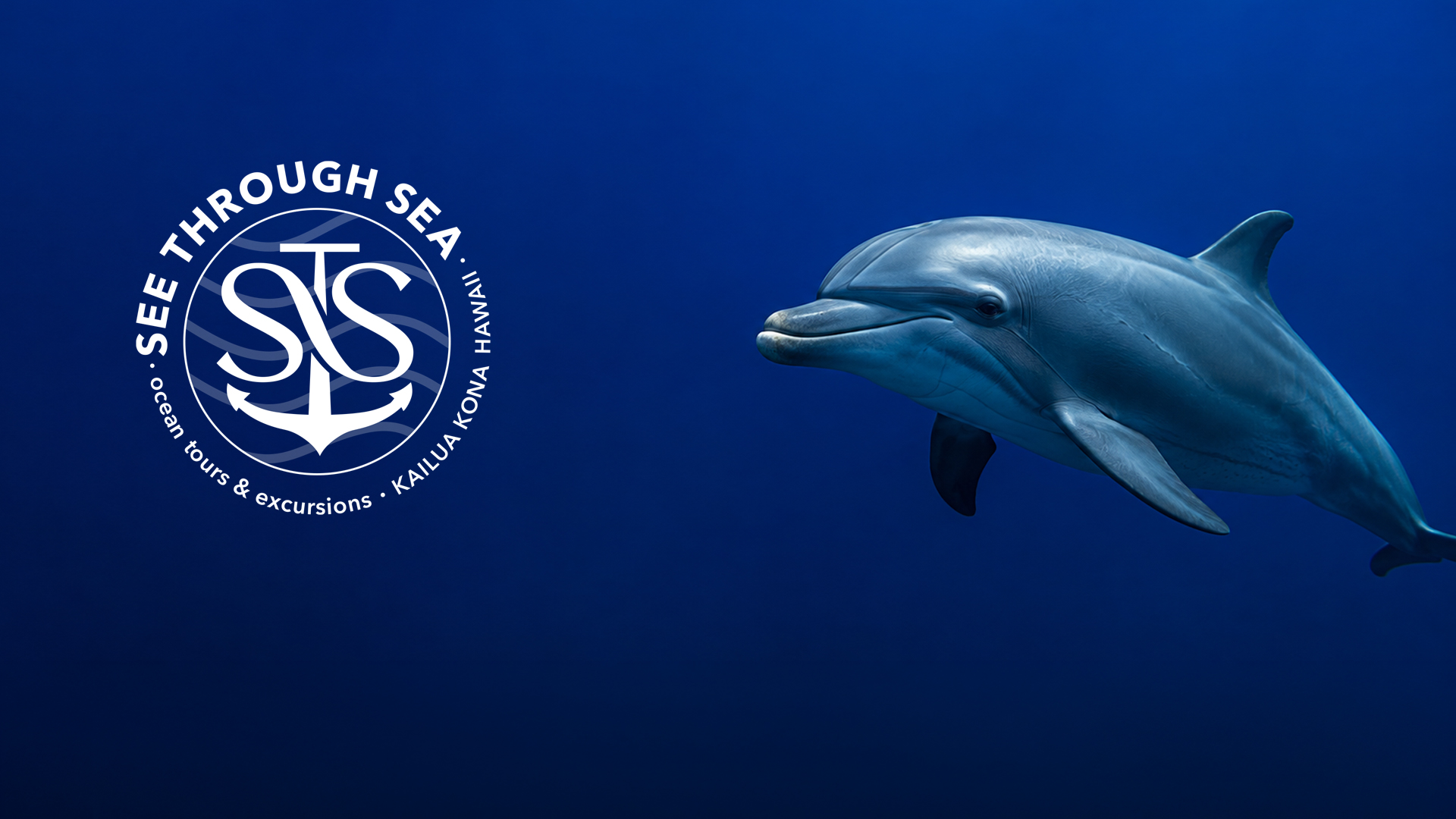 See Through Sea brand identity