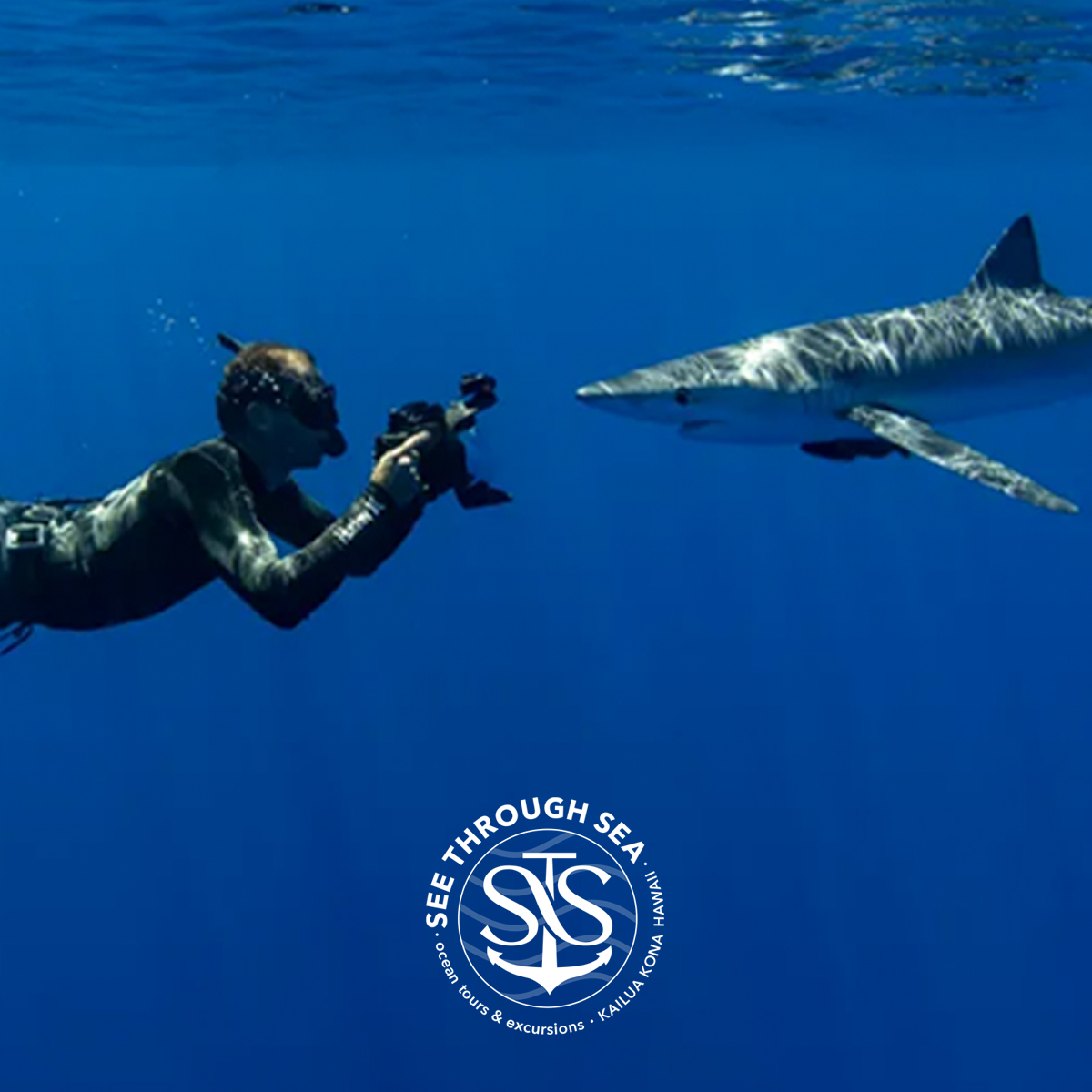 See Through Sea brand identity