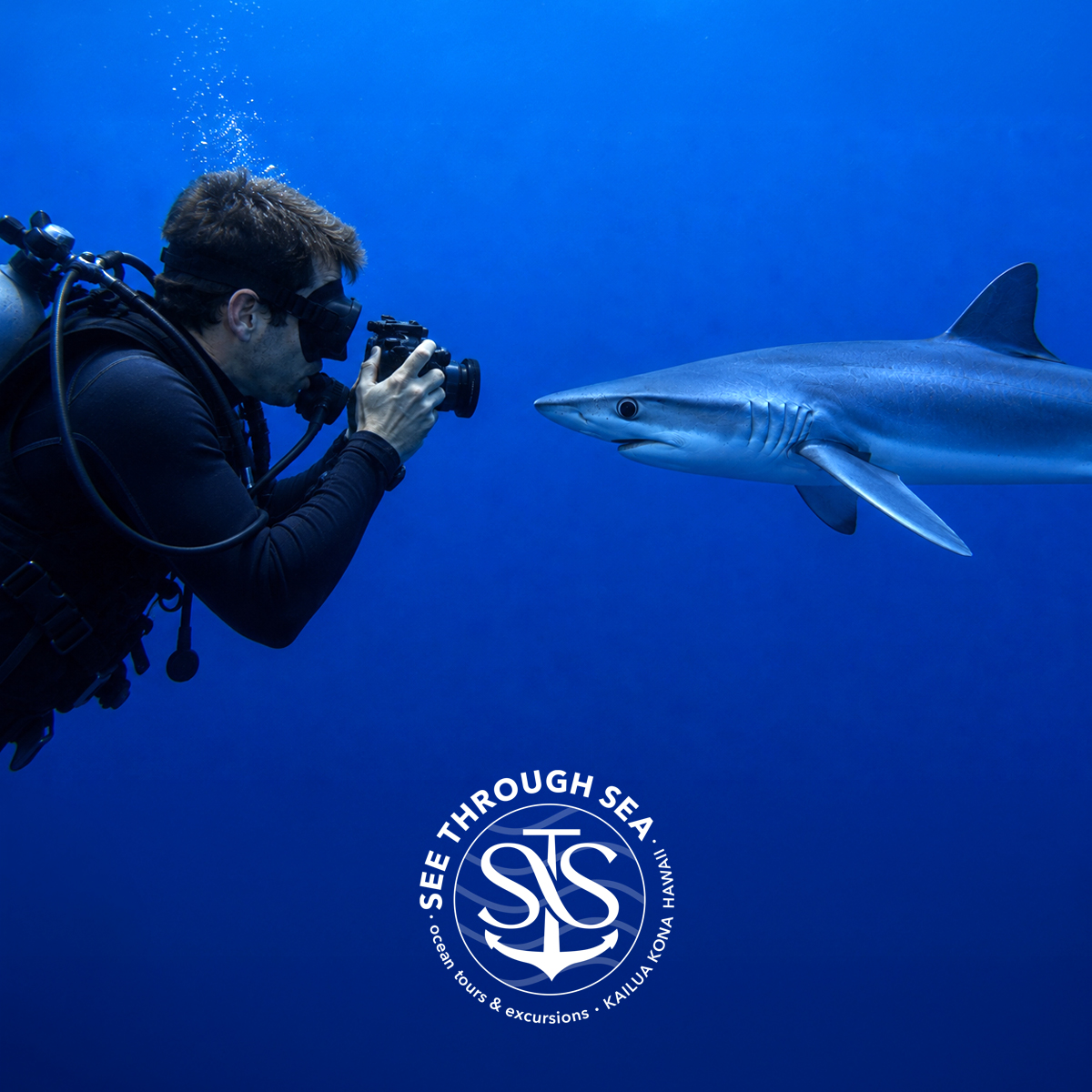 See Through Sea Hawaii brand identity and visual identity