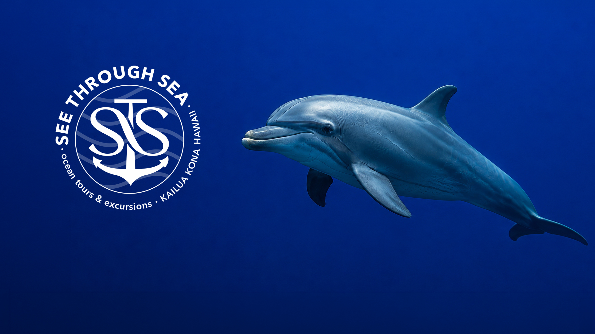 See Through Sea brand identity